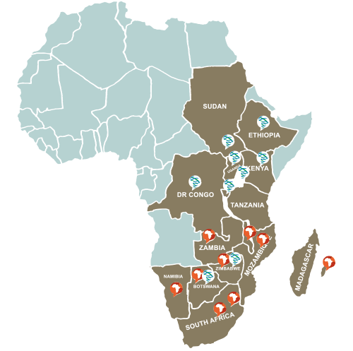 Africa