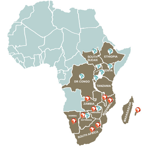 IJR Africa Map