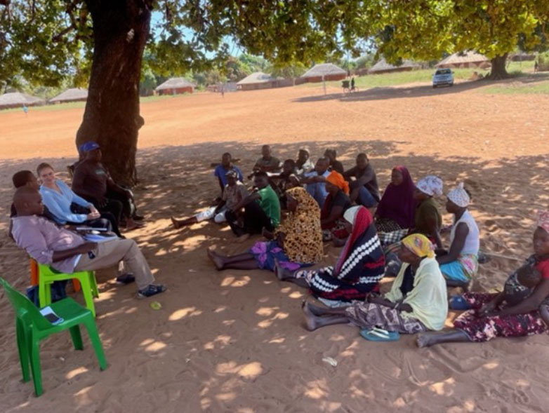 group of people sitting underneath a tree