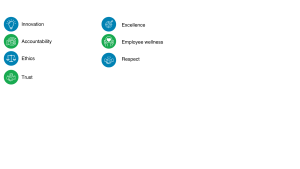IJR Values-6